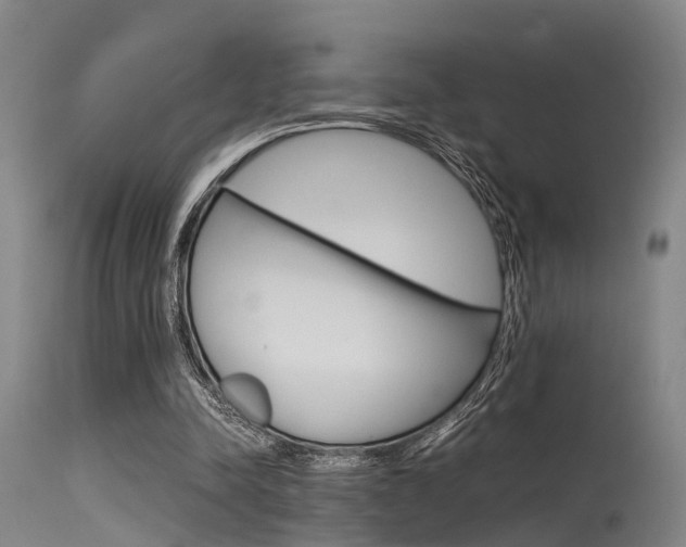 X0000115720342200911121108
