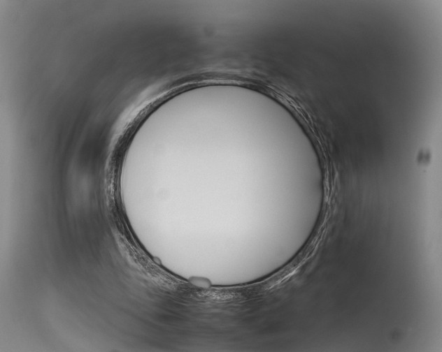 X0000115720343200911121108