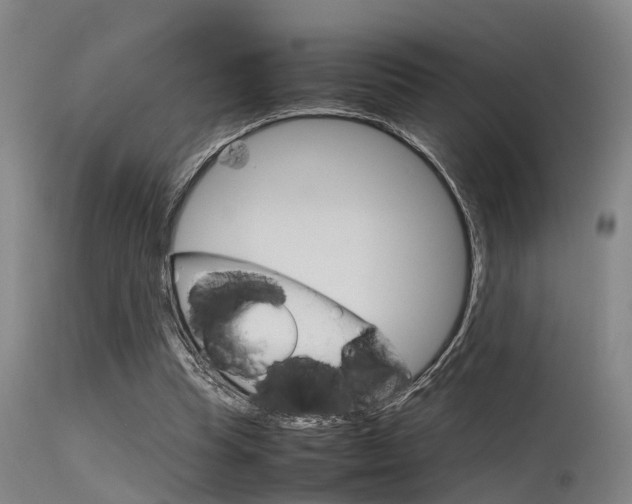 X0000115720345200911121108