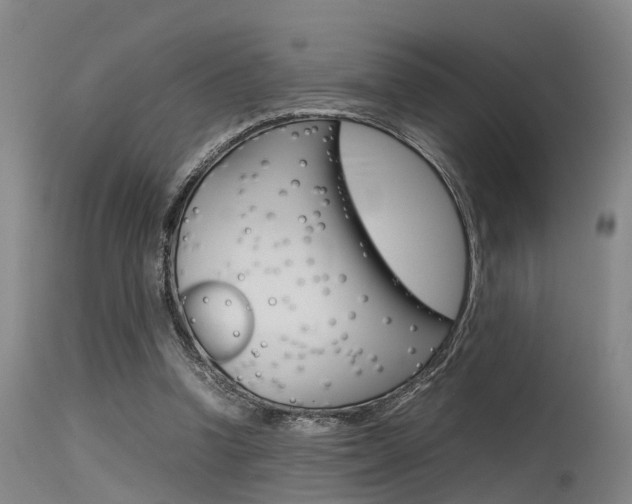 X0000115720346200911121108