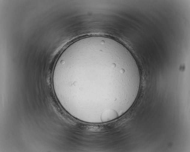 X0000115720347200911121108