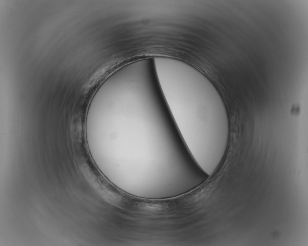 X0000115720349200911121108