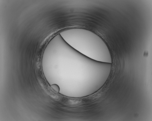 X0000115720351200911121108