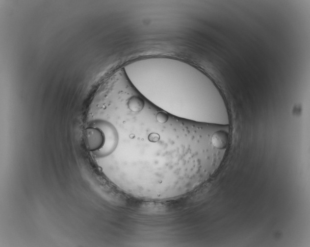 X0000115720354200911121108