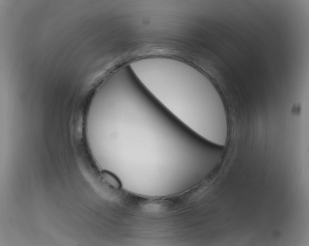 X0000115720358200911121108