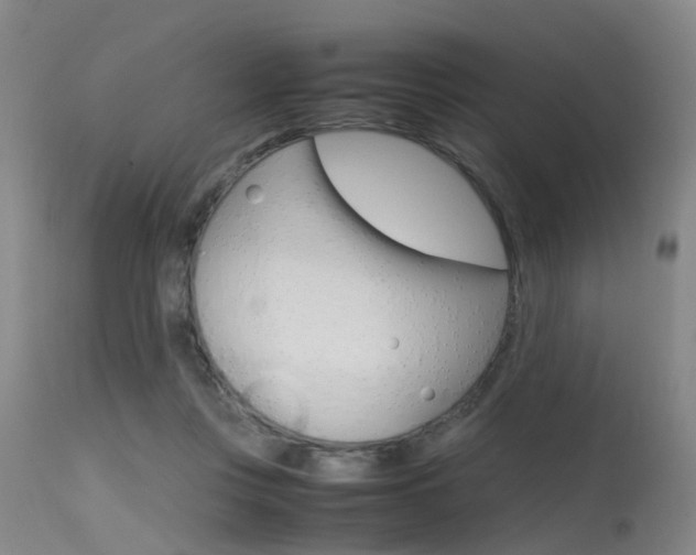 X0000115720359200911121108