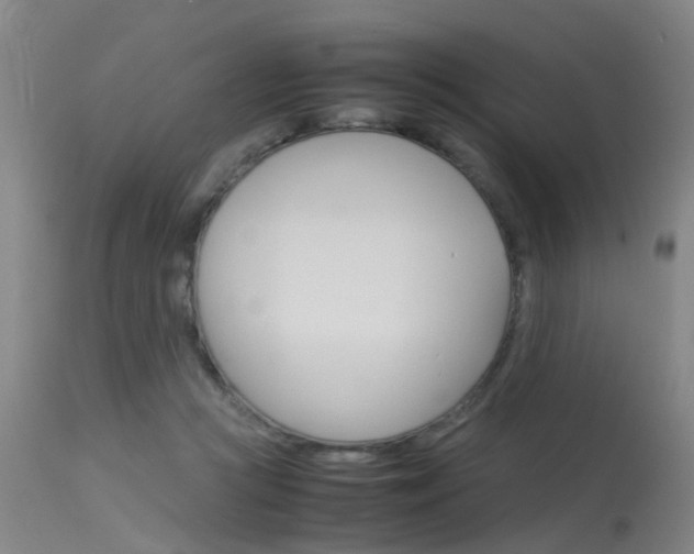 X0000115720361200911121108