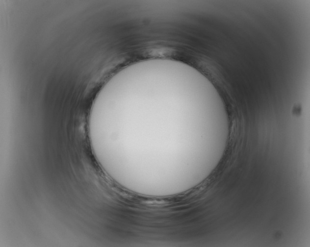X0000115720363200911121108