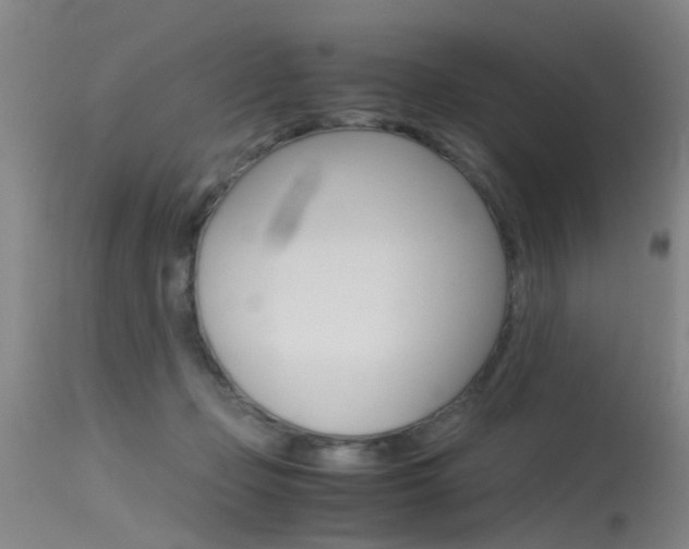 X0000115720365200911121108