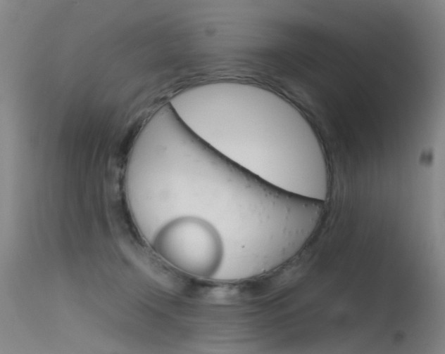 X0000115720366200911121108