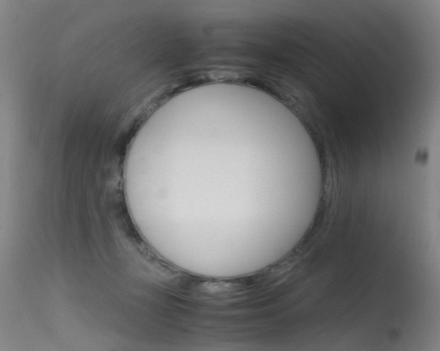 X0000115720367200911121108