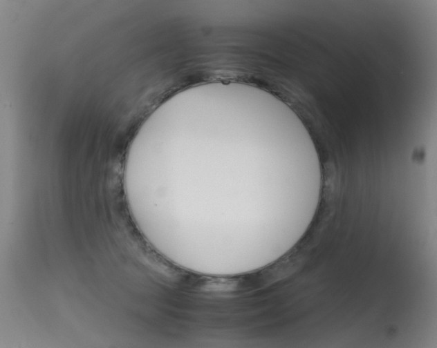 X0000115720369200911121108