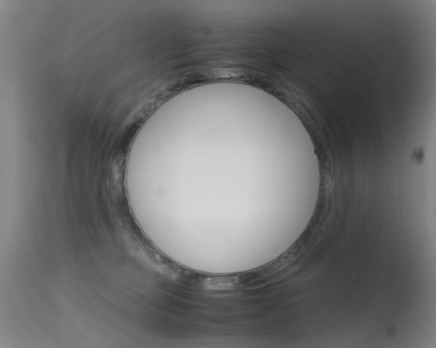 X0000115720373200911121109