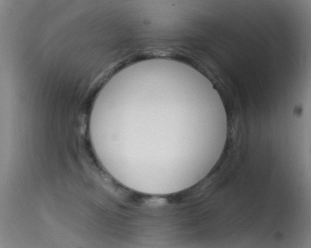 X0000115720374200911121109