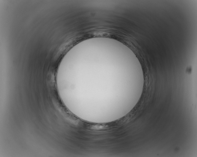 X0000115720375200911121109