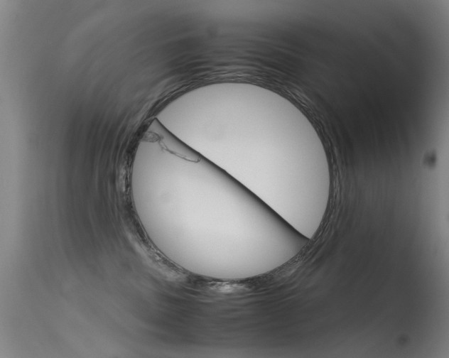 X0000115720379200911121109