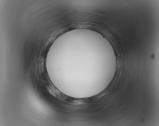 X0000115720381200911121109
