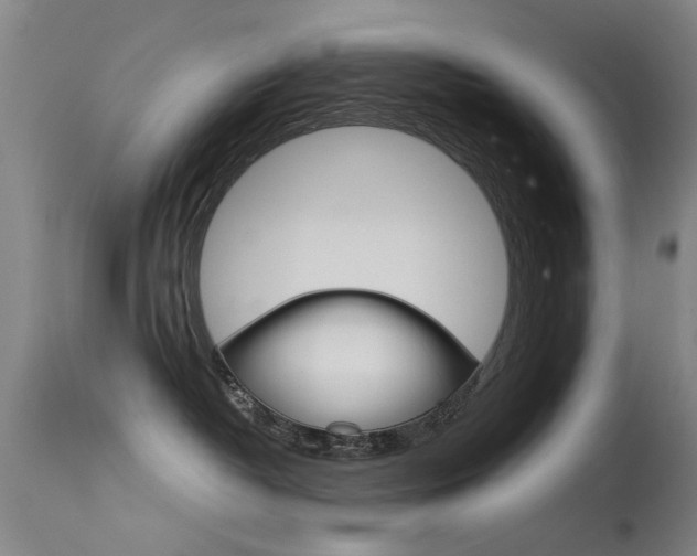 X0000115720382200911121109