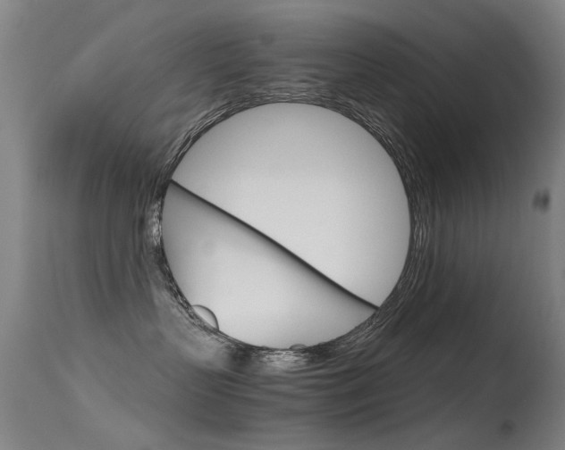 X0000115720383200911121109