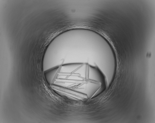 X0000115720385200911121108