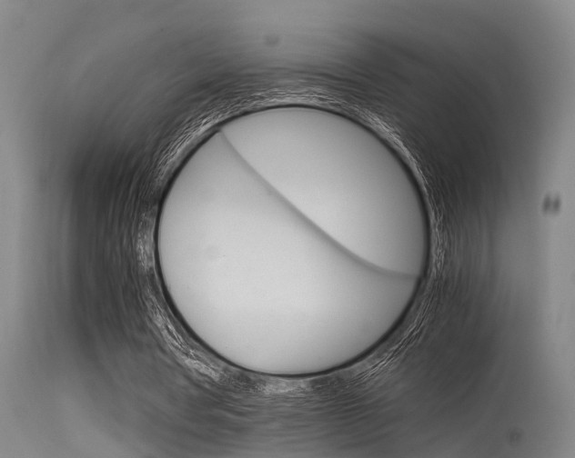 X0000115720386200911121108