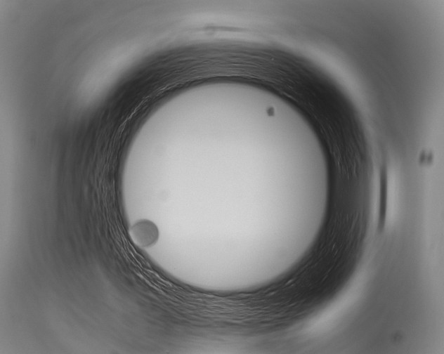 X0000115720387200911121108