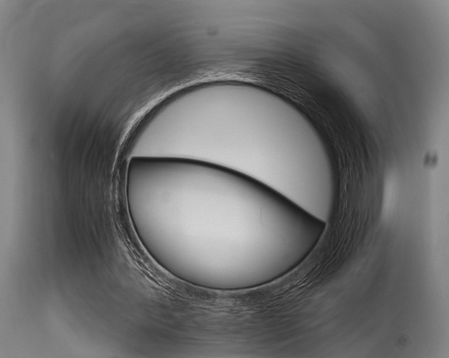 X0000115720388200911121108