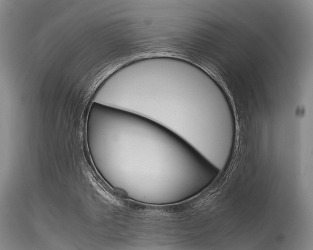 X0000115720389200911121108