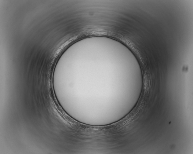 X0000115720390200911121108