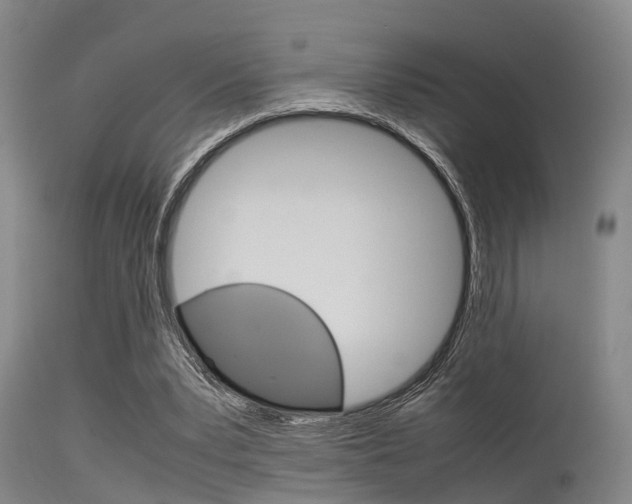X0000115720391200911121108