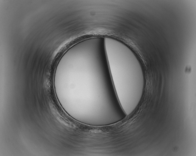 X0000115720392200911121108