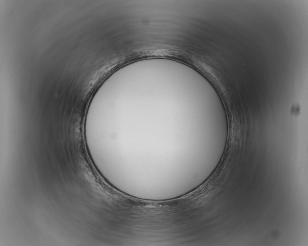 X0000115720394200911121108