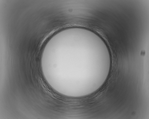 X0000115720395200911121108