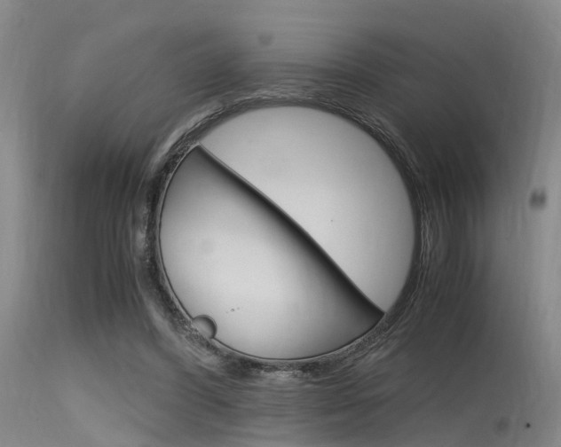 X0000115720396200911121108