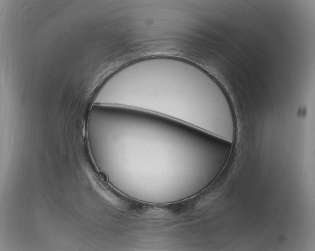 X0000115720397200911121108