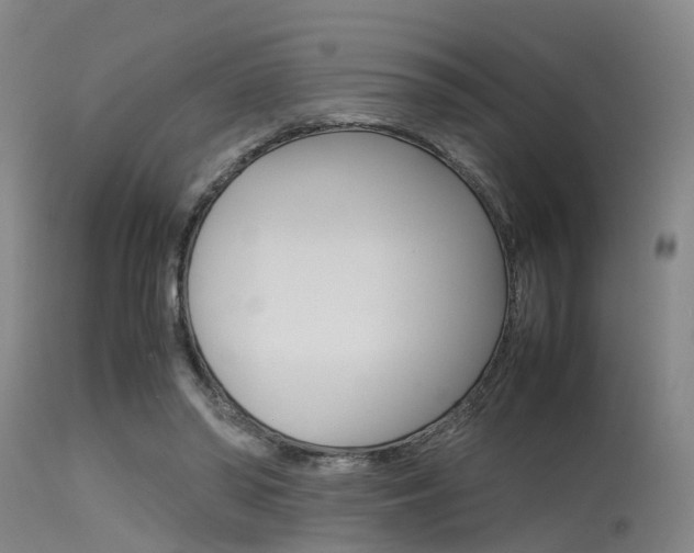 X0000115720398200911121108