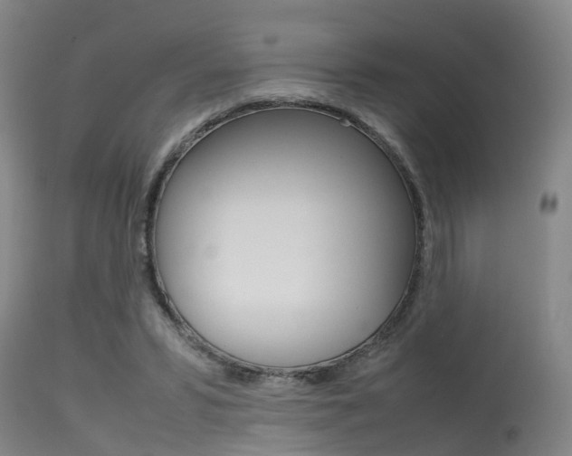 X0000115720399200911121108