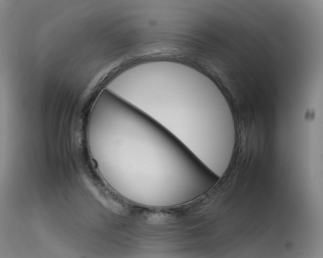 X0000115720400200911121108