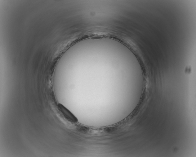 X0000115720401200911121108