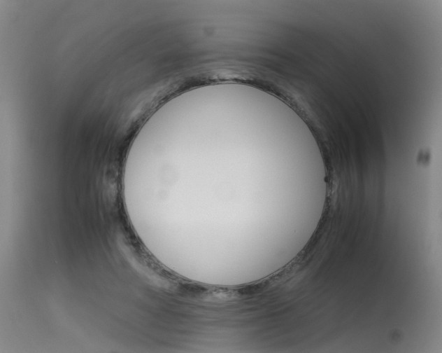 X0000115720402200911121108