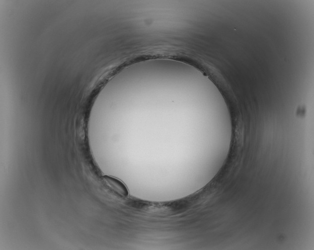 X0000115720403200911121108