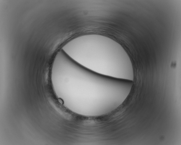 X0000115720404200911121108