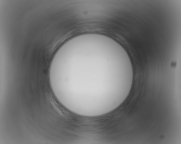 X0000115720405200911121108