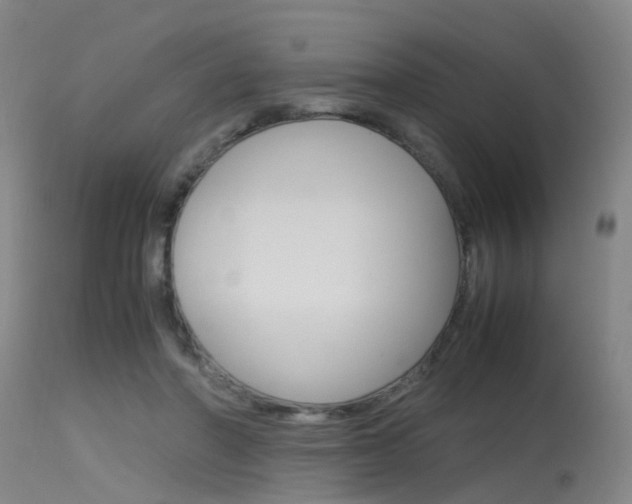 X0000115720406200911121108