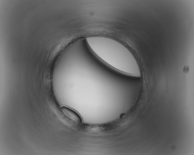 X0000115720407200911121108