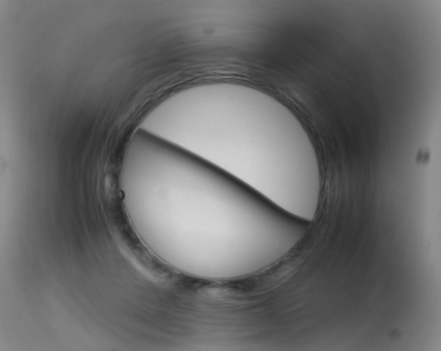 X0000115720408200911121108