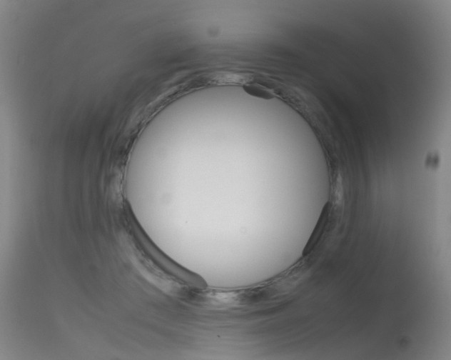 X0000115720409200911121108