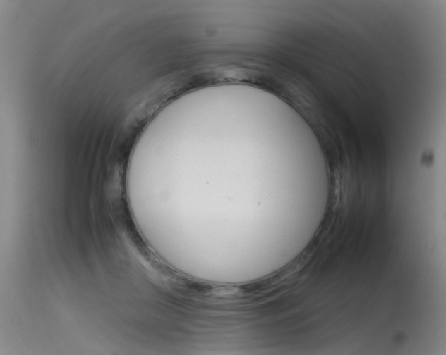X0000115720410200911121108