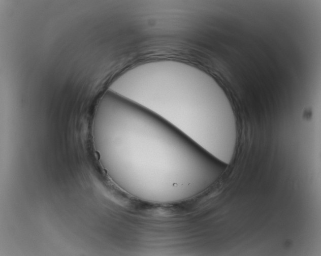 X0000115720412200911121108