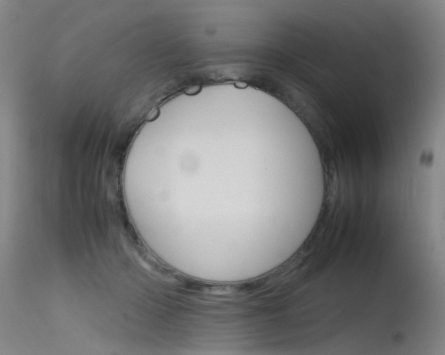 X0000115720414200911121108